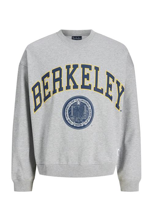 Jack & Jones | Jorberkeley Sweat C.n Styd Ss25 | L
