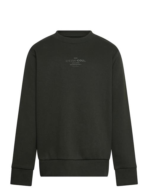 Jack & Jones | Jjjin Sweat Crew Neck Jnr | 176