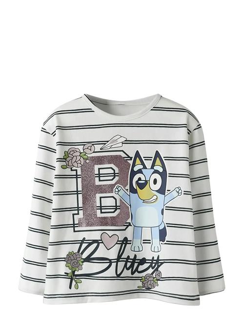 name it | Nmfsiska Bluey Ls Nreg Top Box Sky | 104