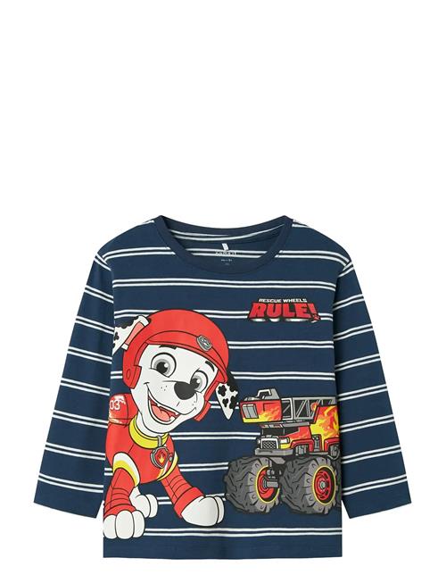 name it | Nmmsofus Paw Ls Nreg Top Box Cplg | 86