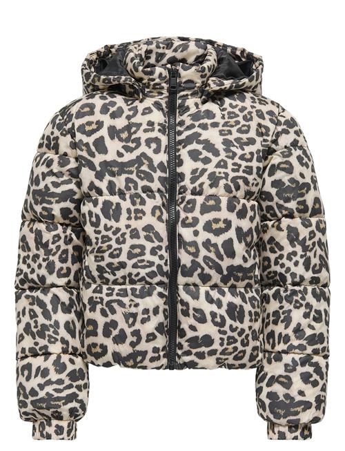 Kids Only | Kogdalia Sht Puffer Aop Jacket Otw Noos | 146