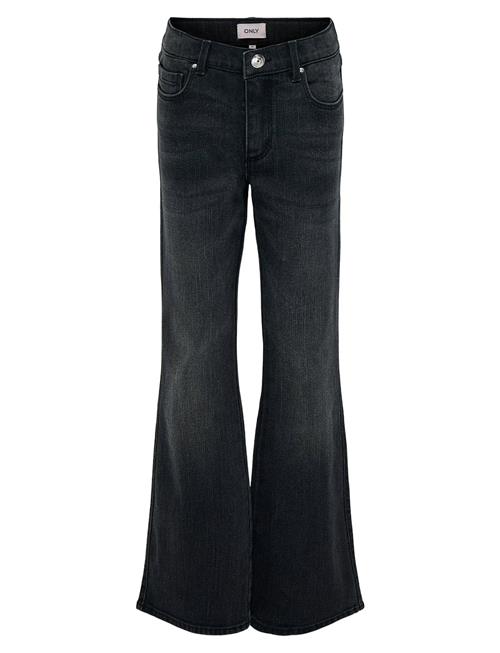 Kids Only | Kogblair Life Reg Flared Pim | 140