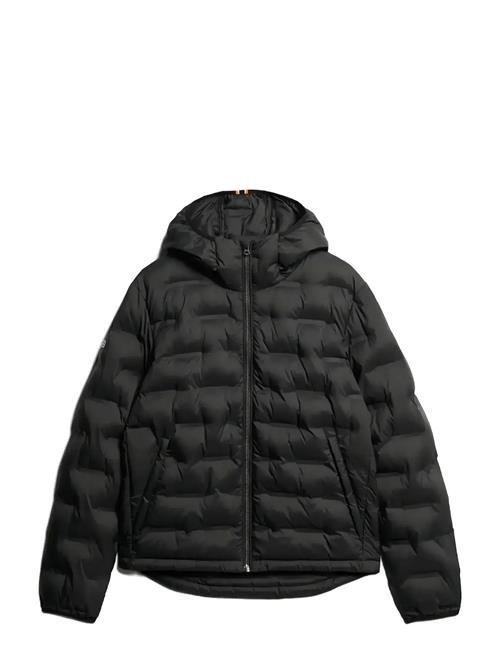 Superdry | Hooded Quilted Puffer Coat | L