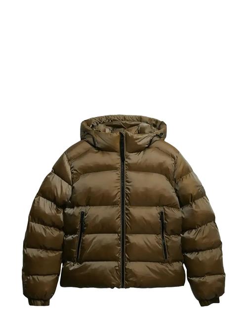 Superdry | Hooded Luxe Sports Puffer | M