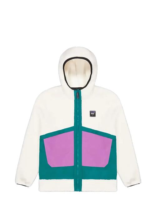 PICTURE ORGANIC CLOTHING | Pmbton Zip Hoodie | M