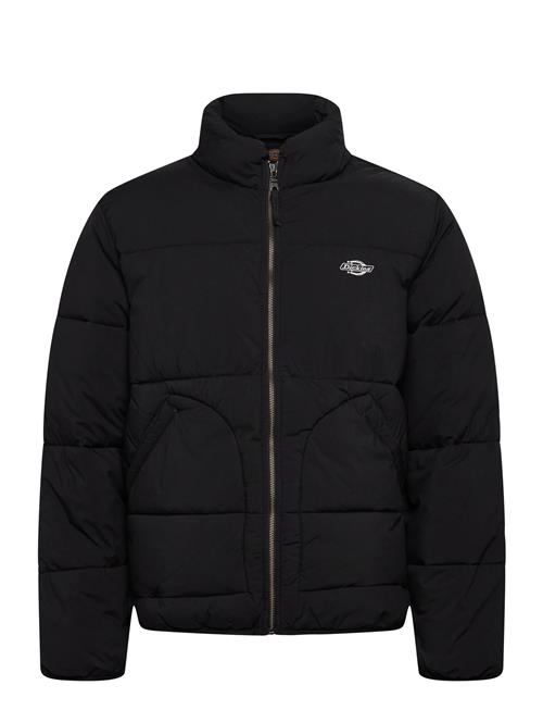 Dickies | M Summerdale Puffer | L