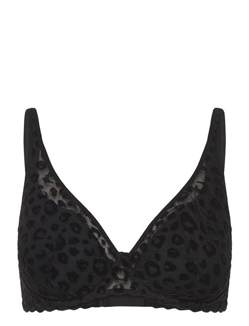 CHANTELLE | Girls T-Shirt Plunge Bra | F x 65