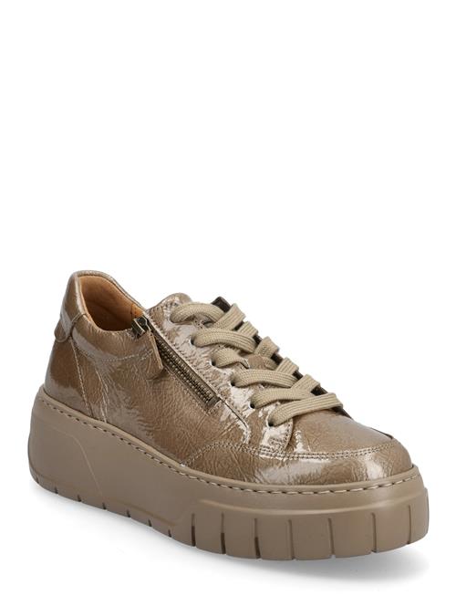 Gabor | Sneaker | 41