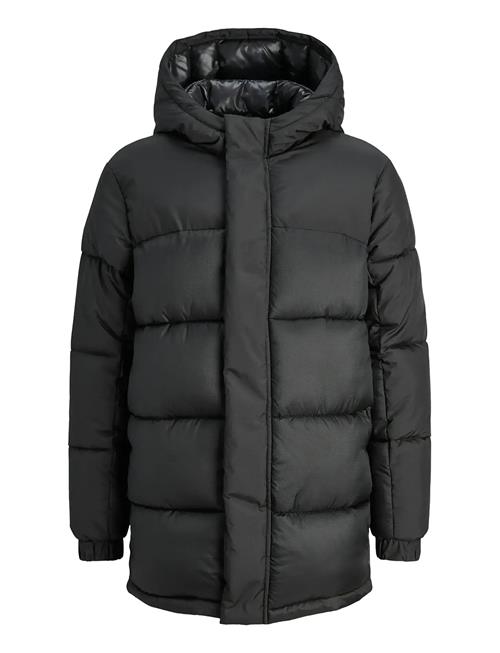 Jack & Jones | Jcounion Long Puffer Jacket Jnr | 152