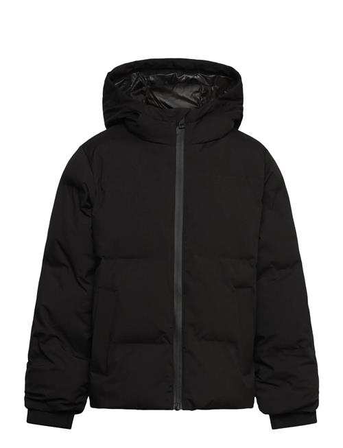 Jack & Jones | Jjkaito Puffer Jacket Mni | 104