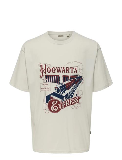 ONLY & SONS | Onsxmas Rlx Ss Tee Hp | XXL