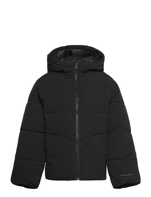 Jack & Jones | Jjglobal Puffer Jacket Mni | 116