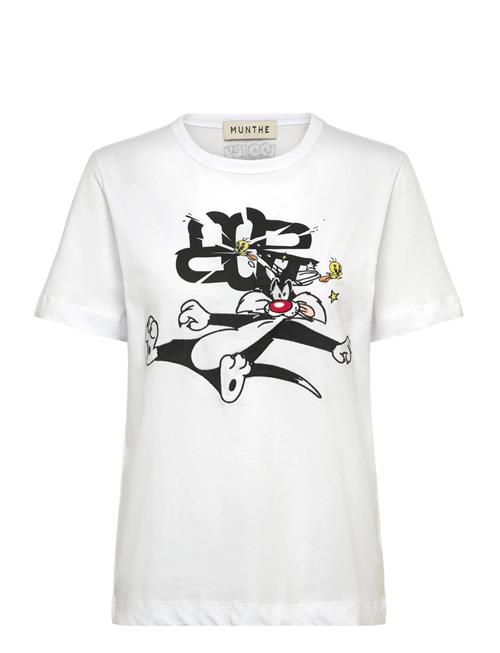 Munthe | Lacini | 36