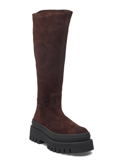 Steve Madden | Chipp | 39