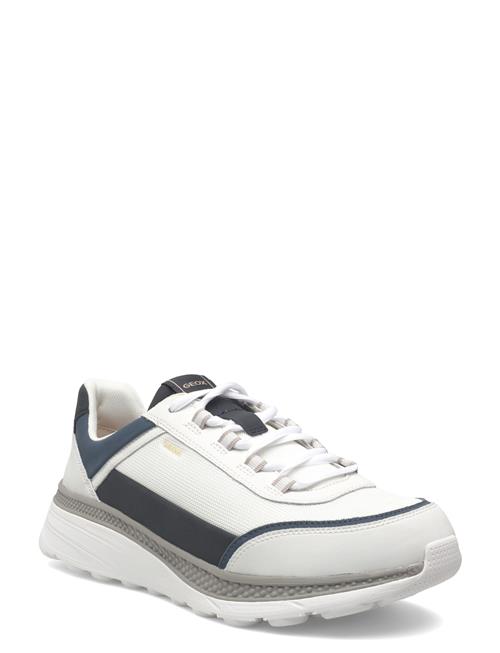 GEOX | U Spherica Actif X1 | 42