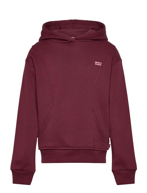 Levi's | Levi's® Batwing Patch Thumbhole Pullover Hoodie | 104