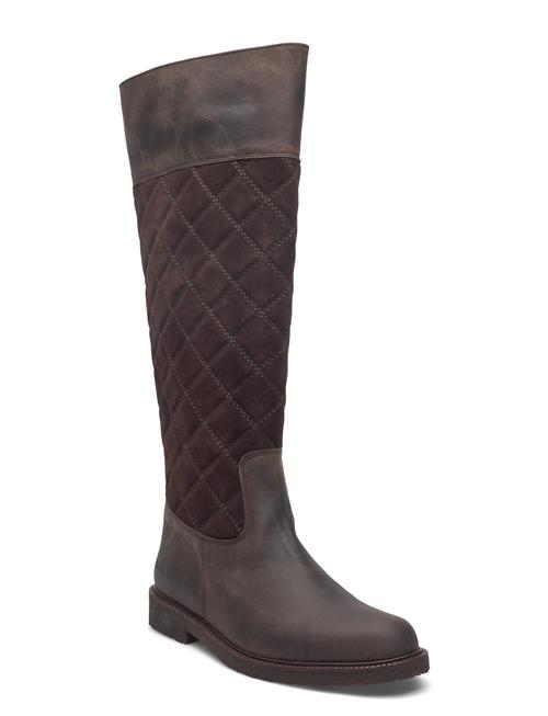 ANGULUS | Booties - Flat | 38