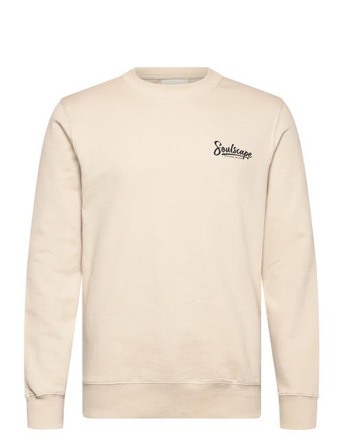 Solid | Sdtorrence | M