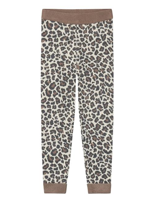 Fliink | Benna Leo Leggin | 3 Y