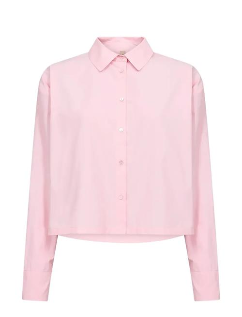 Soyaconcept | Sc-Netti | XL