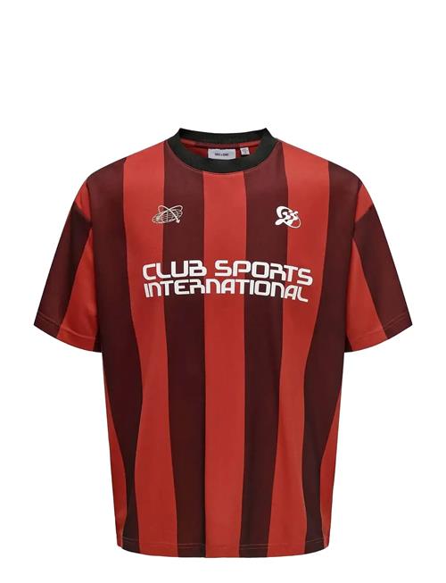 ONLY & SONS | Onsdeclan Loose Ss Tee | XXL