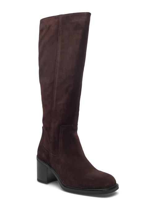 VAGABOND | Meryl | 38