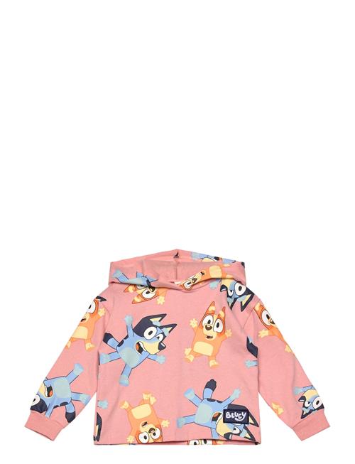 Bluey | Sweats | 104