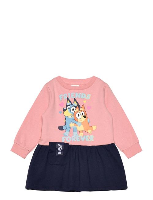 Bluey | Dress | 104