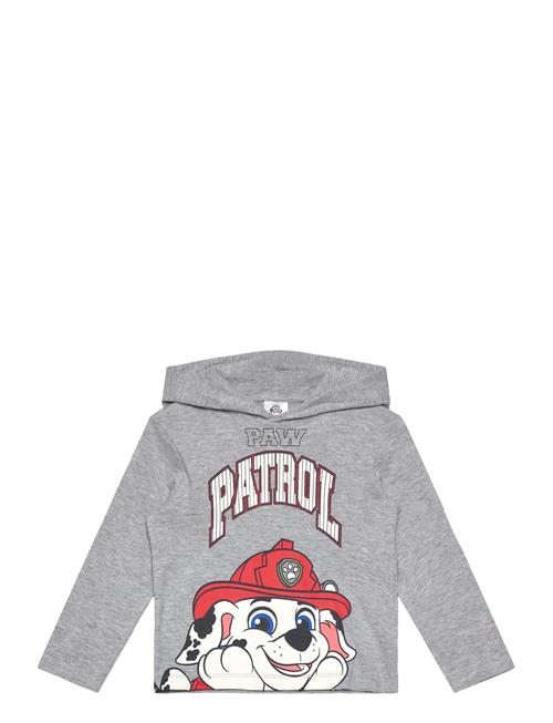 Paw Patrol | Tshirt | 116