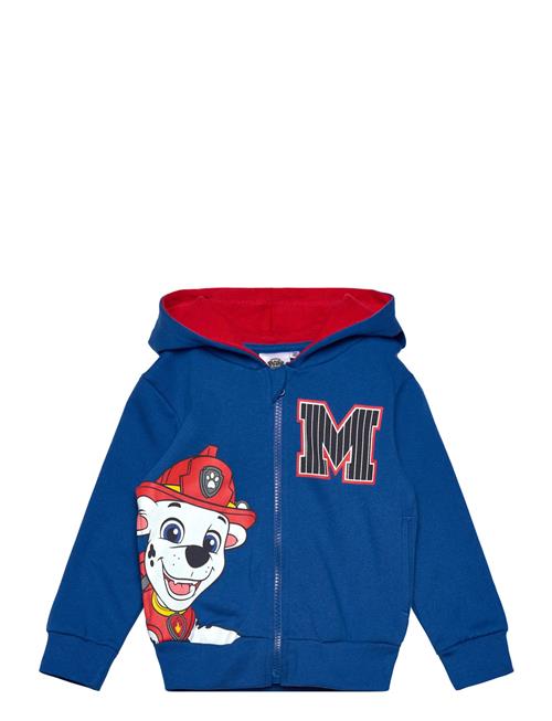 Paw Patrol | Sweats | 110