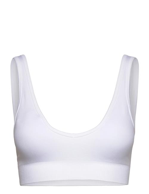 Drop of Mindfulness | Seamless Deep V Bra | XL