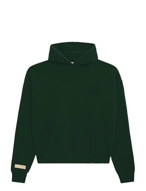 Prohibited | Legacy Hoodie | XL