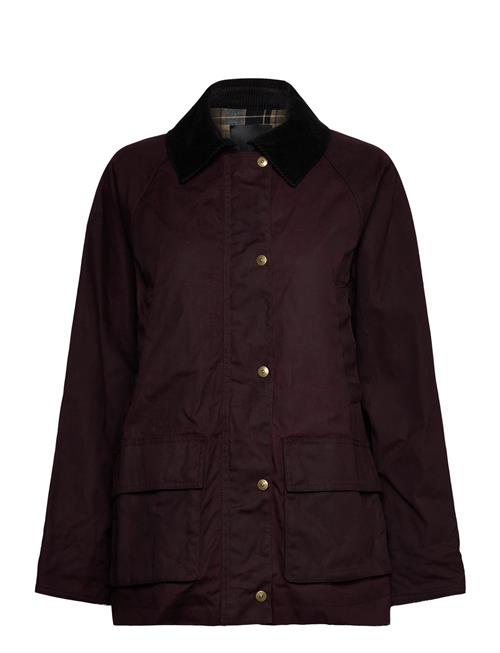 Mango | Cotton Parka With Corduroy Collar | L