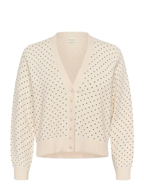 Part Two | Anessapw Ca | XS