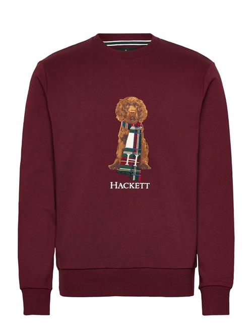 Hackett London | Heritage Harry Crew | XXL