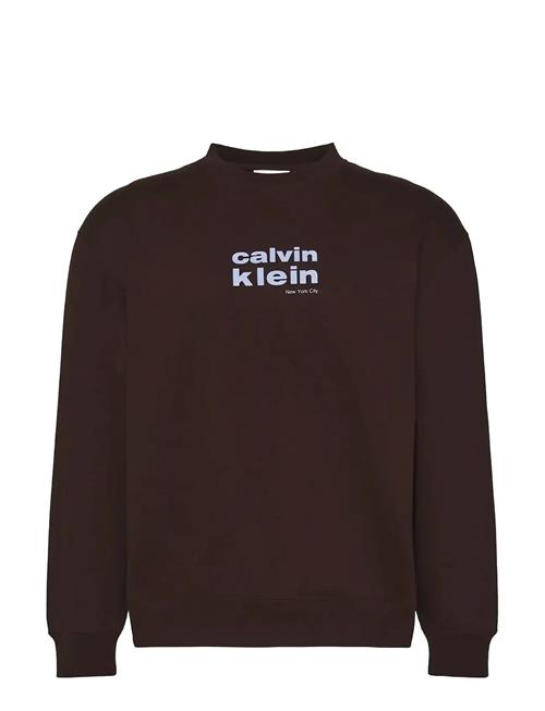 Calvin Klein | Ls 350Fleece Retro Graphic Crewn | S