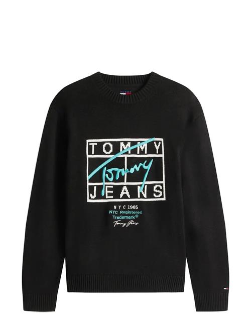 Tommy Jeans | Tjm Reg Signature Sweater Ext | L