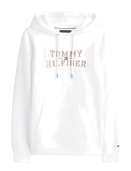 Tommy Hilfiger | Icon Intechno Hoody | M