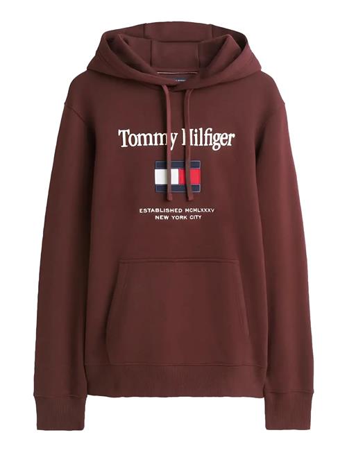 Tommy Hilfiger | Tommy Embro Flag Hoodie | M