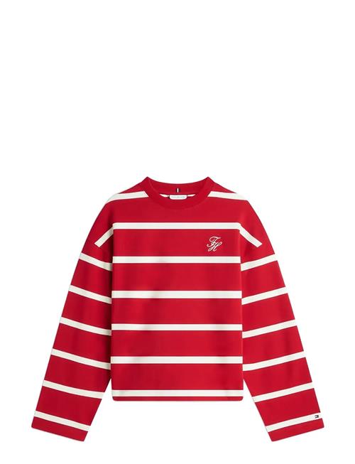Tommy Hilfiger | Th Script Mdrn Terry Swtshrt | M