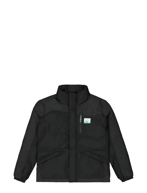 PICTURE ORGANIC CLOTHING | Zonk Jkt | M