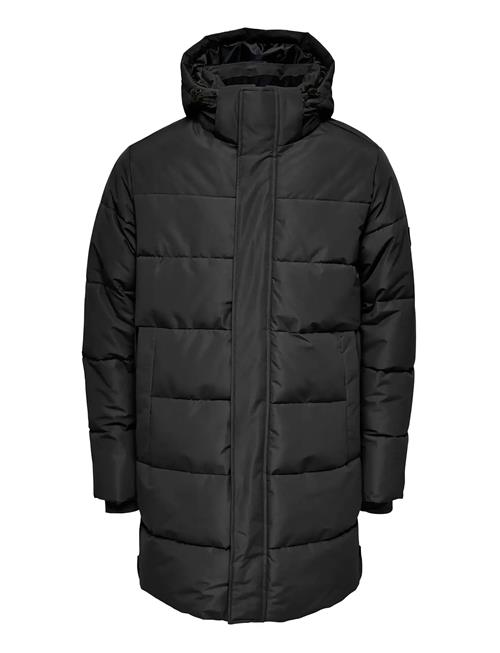 ONLY & SONS | Osjcarl Life Long Quilted Coat Otw | 140