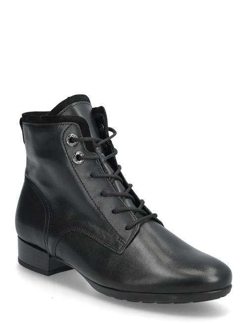 Gabor | Laced Ankle Boot | 36