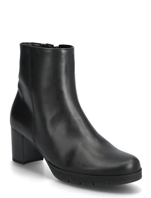 Gabor | Ankle Boot | 41