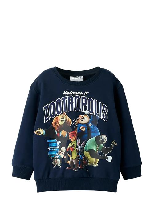 name it | Nmmnoel Zootropolis Nreg Sweat Bru Wdi | 104