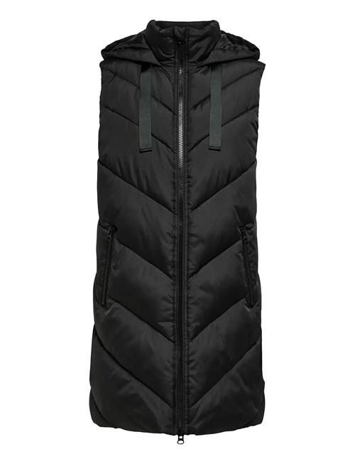 JDY | Jdyskylar Life Hood Waistcoat Otw Noos | L