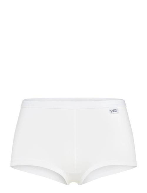 Frank Dandy | Women's Bamboo Legend Boxer | M