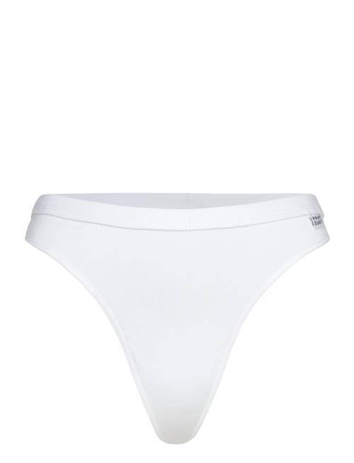 Frank Dandy | Women's Bamboo Legend Thong | L
