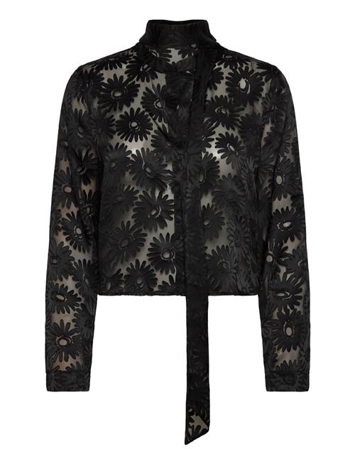 HUGO | Eurydyke | 42