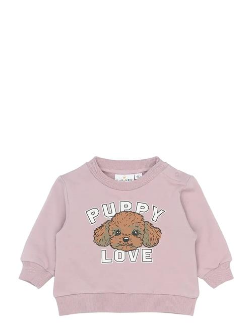 The New | Tnsbselena Sweatshirt | 74